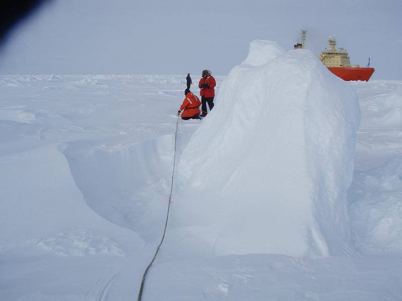 Laying line for transect 1 1.JPG